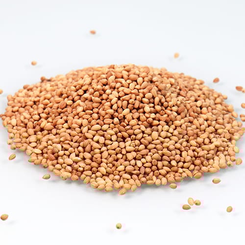 Mahlab Grain By Weight | محلب حب بالوزن