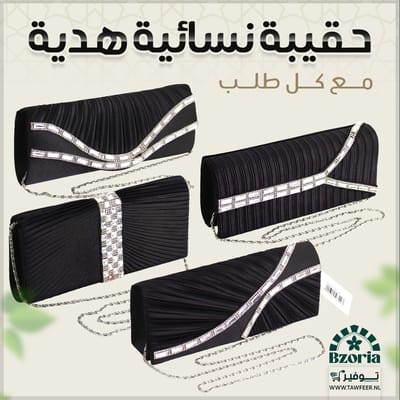 Evening Clutch Bag | حقيبة يد سهرة نسائية هدية